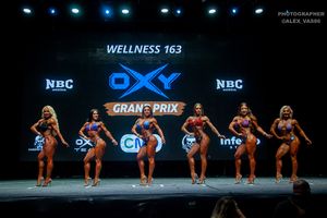 WELLNESS 163